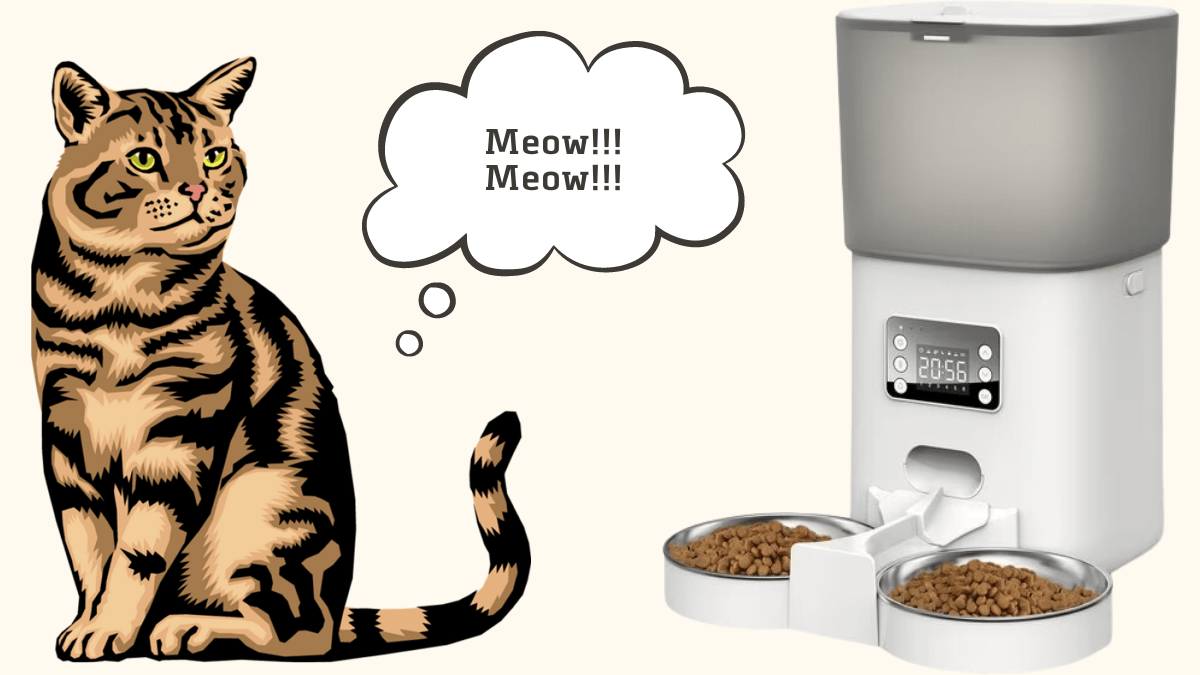 6L Cat Feeder